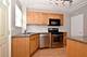 1424 N Harlem Unit E, River Forest, IL 60305