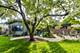 710 S Walnut, Arlington Heights, IL 60005