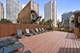 1445 N State Unit 1006, Chicago, IL 60610