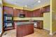 1826 S Indiana Unit D, Chicago, IL 60616