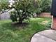 6923 N Chicora, Chicago, IL 60646