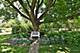 4N227 Burr, St. Charles, IL 60175