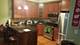 1346 W George Unit T, Chicago, IL 60657