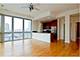 2035 S Indiana Unit 301, Chicago, IL 60616