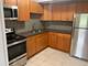 5815 N Sheridan Unit 307, Chicago, IL 60660