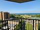 3660 N Lake Shore Unit 1602, Chicago, IL 60613