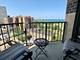 3660 N Lake Shore Unit 1602, Chicago, IL 60613