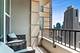 25 E Superior Unit 4003, Chicago, IL 60611