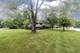 198 Patricia, Prospect Heights, IL 60070