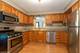 11001 S Washtenaw, Chicago, IL 60655