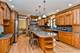 3008 Goldenglow, Naperville, IL 60564