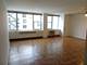 4250 N Marine Unit 1130, Chicago, IL 60613