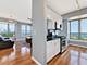 1717 S Prairie Unit 2201, Chicago, IL 60616