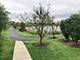 2806 Henley, Naperville, IL 60540