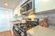 1343 W Grace Unit B, Chicago, IL 60613