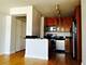 450 W Briar Unit 13C, Chicago, IL 60657