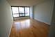 405 N Wabash Unit 214, Chicago, IL 60611