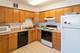 201 S Maple Unit 107, Oak Park, IL 60302