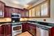 901 S Racine Unit D, Chicago, IL 60607