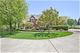 10801 Crystal Springs, Orland Park, IL 60467