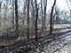 2887 Blackthorn Lot #75, Riverwoods, IL 60015