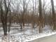 2887 Blackthorn Lot #75, Riverwoods, IL 60015