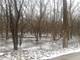 2887 Blackthorn Lot #75, Riverwoods, IL 60015