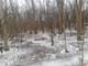 2887 Blackthorn Lot #75, Riverwoods, IL 60015