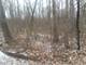 2887 Blackthorn Lot #75, Riverwoods, IL 60015