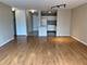 901 S Plymouth Unit 1204, Chicago, IL 60605