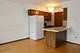 345 W 30th, Chicago, IL 60616