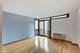 2007 N Sedgwick Unit 505, Chicago, IL 60614