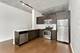 1345 S Wabash Unit 507, Chicago, IL 60605