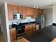 1255 S State Unit 1703, Chicago, IL 60605