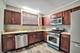 4025 N Melvina Unit 2, Chicago, IL 60634