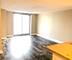 545 N Dearborn Unit 3009, Chicago, IL 60654