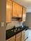 8619 W Foster Unit 2A, Chicago, IL 60656