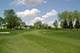 15594 Deer Path, Grant Park, IL 60940