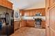 2418 E Thornwood, Lindenhurst, IL 60046