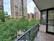 33 E Cedar Unit 6E, Chicago, IL 60611