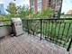 33 E Cedar Unit 6E, Chicago, IL 60611