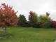 22197 Rosemary, Frankfort, IL 60423