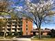 255 S West Unit 206, Elmhurst, IL 60126