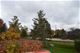 2042 Peach Tree, Algonquin, IL 60102