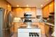 1410 N Mohawk Unit C, Chicago, IL 60610