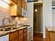 1307 S Wabash Unit 305, Chicago, IL 60605