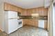 722 W Junior Unit C, Chicago, IL 60613