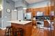 1006 N Wolcott Unit 1, Chicago, IL 60622