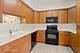 455 W Wood Unit 409, Palatine, IL 60067