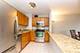 33 E Cedar Unit 15F, Chicago, IL 60611